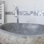 Uhse Ferienwohnung Delux Mit Loft Apartment Heide (Schleswig-Holstein)